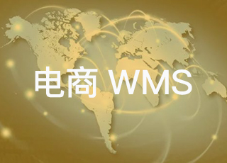 为什么大型电商企业都选择自主开发电商wms系统而不是直接买一套来用？