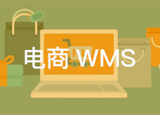 电商wms到底能解决企业的哪些问题？