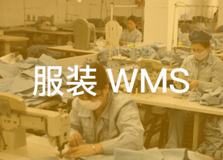 嘿！这是你想要的服装wms吗？