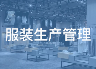 我国服装生产企业信息化现状分析