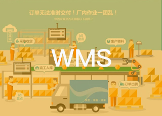 WMS系统怎样弥补服装ERP在功能上的不足?
