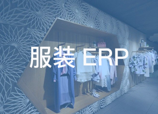 细数国内服装生产erp失败的“十宗罪”