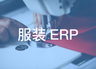 服装生产企业的ERP造型原则是什么？