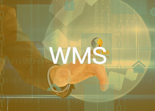 wms系统建设目标和规划设计