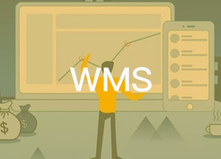 为消灭问题而生——WMS系统在仓库管理过程中的价值