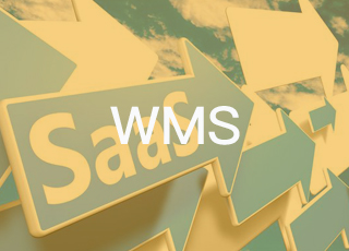 传统WMS与SAAS WMS,究竟谁会胜出?