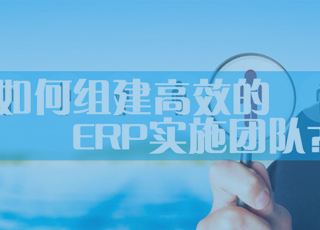 高效的ERP实施团队都有哪些特点？如何组建这样的团队？
