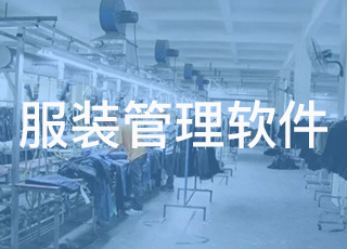 erp服装管理软件的管理模式应用技术与实施误区