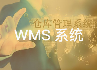 WMS系统项目验收时要注意什么？