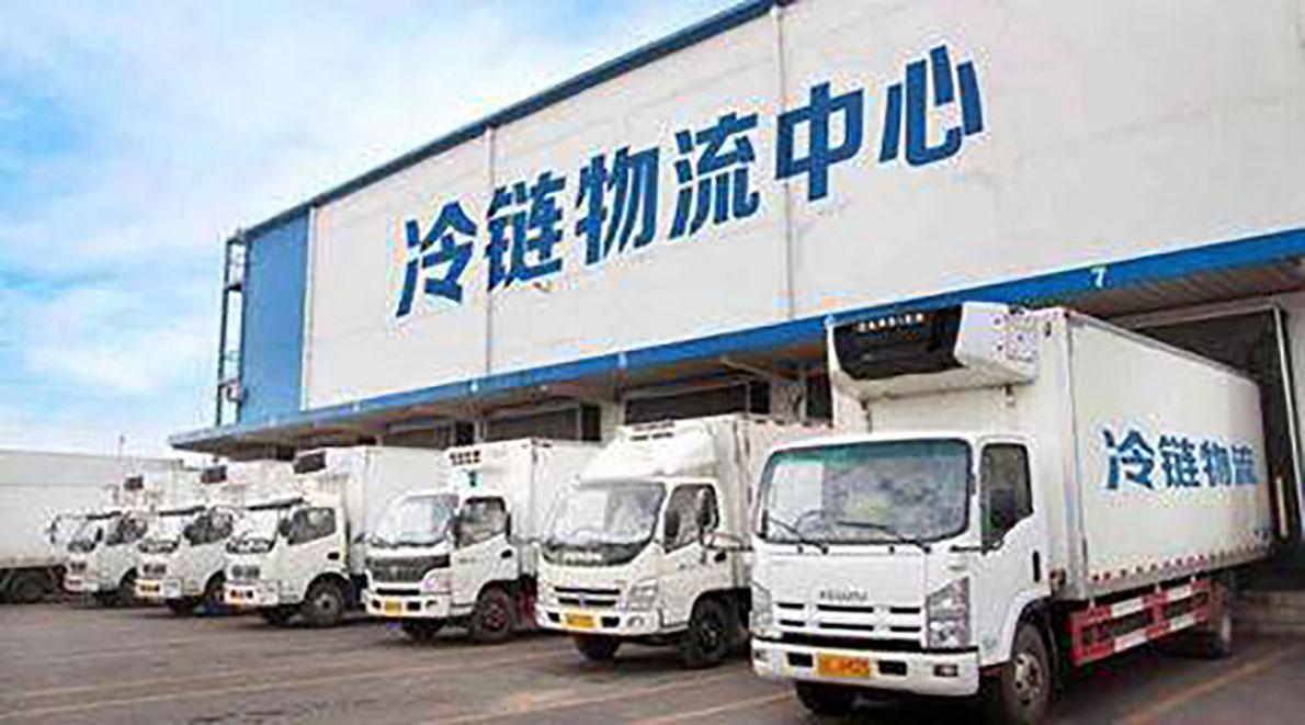 国内冷链物流