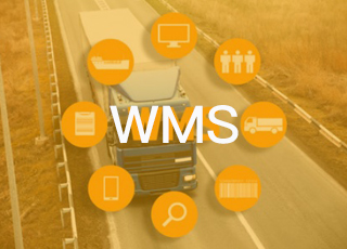 公司上线WMS后，员工培训应该如何进行？