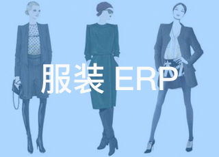 erp企业应该如何进行服装erp系统实施项目团队的绩效管理？