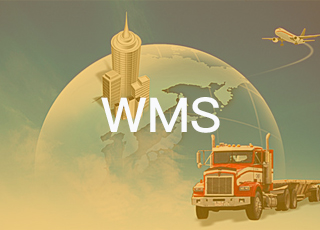 WMS——现代物流的神兵利器