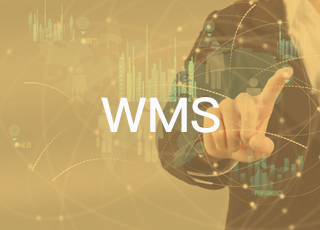 wms为什么需要与erp进行对接？