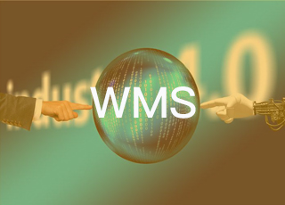 简述WMS与TMS系统的主要集成方式,看看哪种适合你?