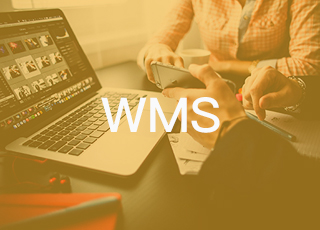 wms项目经理必备技能——项目调研过后，应该输出哪些内容？