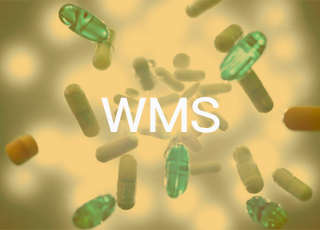 现代医药物流对wms系统的功能有哪些要求？
