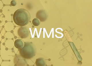 医药wms仓储系统方案有什么价值?