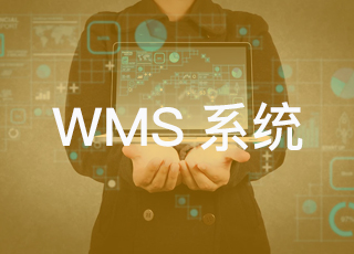 wms系统哪家好？知名的wms公司有哪些？