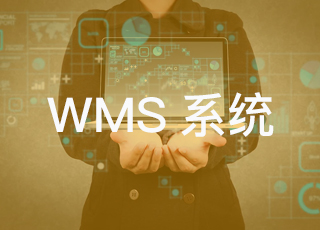wms系统哪家好？如何挑选一家专业的wms公司？