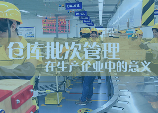 仓库批次管理在生产企业中的应用意义