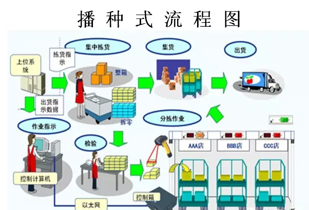 播种式拣选