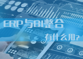 浅谈ERP与BI——小孩子才作选择,我都要!