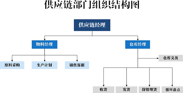 供应链部门组织结构图